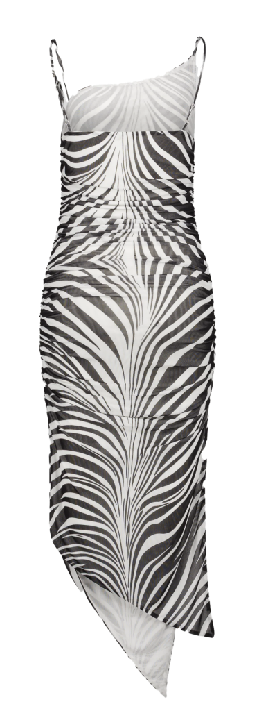 Saemdi_zebra_mesh_ back2