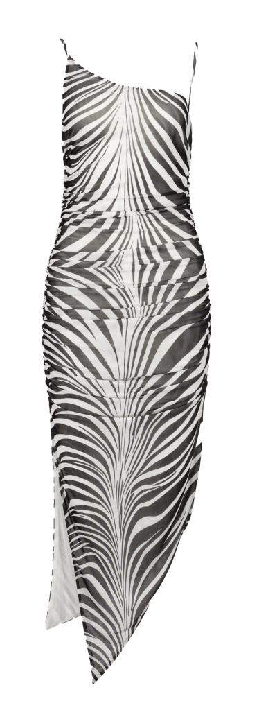 Saemdi_zebra_mesh_ front_2